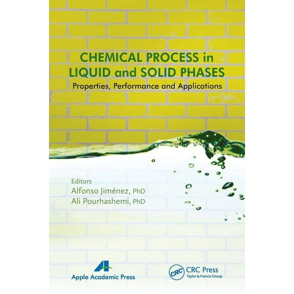 Chemical Process in Liquid and Solid Phase: Properties, Performance and Applications, (Paperback)