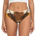 thumbnail image 1 of Balery Countryside Sunflower Cow Ropa Interior de Algodón para Mujer con Dibujo – Braguitas Cómodas y Elásticas, Estilo Clásico-Large, 1 of 6