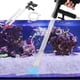 thumbnail image 1 of Xihbxyly Oferta Prime Del Día Solo Por Hoy Limpiador de Grava para Acuarios, Aspirador Automático Multifuncional con Sifón, Nuevo Cambiador de Agua Rápido para Lavado de Arena, Herramientas de Limpie, 1 of 6
