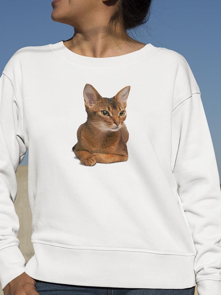 Cat looking sweatshirt Clearance