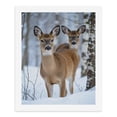 thumbnail image 5 of Paint By Numbers Kit for Adults Beginner - DIY Deer In Winter Snowforest Scene Canvas Painting Kits for Adults, Frameless Paint By Number for Adults for Home Wall Decor 16x20 Inch, 5 of 7