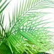 thumbnail image 5 of Wosthever Plástico diseñado para cualquier habitación Palmera artificial Areca en maceta Palmera falsa de mantenimiento de bajo costo Decoración, 5 of 6