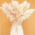 thumbnail image 4 of 38'' Tall Artificial Pampas Grass - 20 Stems Large Fluffy Faux Plumes for Tall Floor Vase, Minimalist Boho Home Decor for Living Room & Bedroom, Mess-Free Dried Flower Alternative, 4 of 9