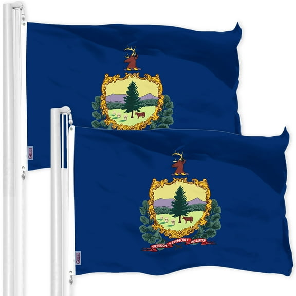 G128 2 Pack: Vermont VT State Flag | 3x5 Ft | LiteWeave Pro Series Printed 300D Polyester | Indoor/Outdoor, Vibrant Colors, Brass Grommets, Thicker and More Durable Than 100D 75D Polyester