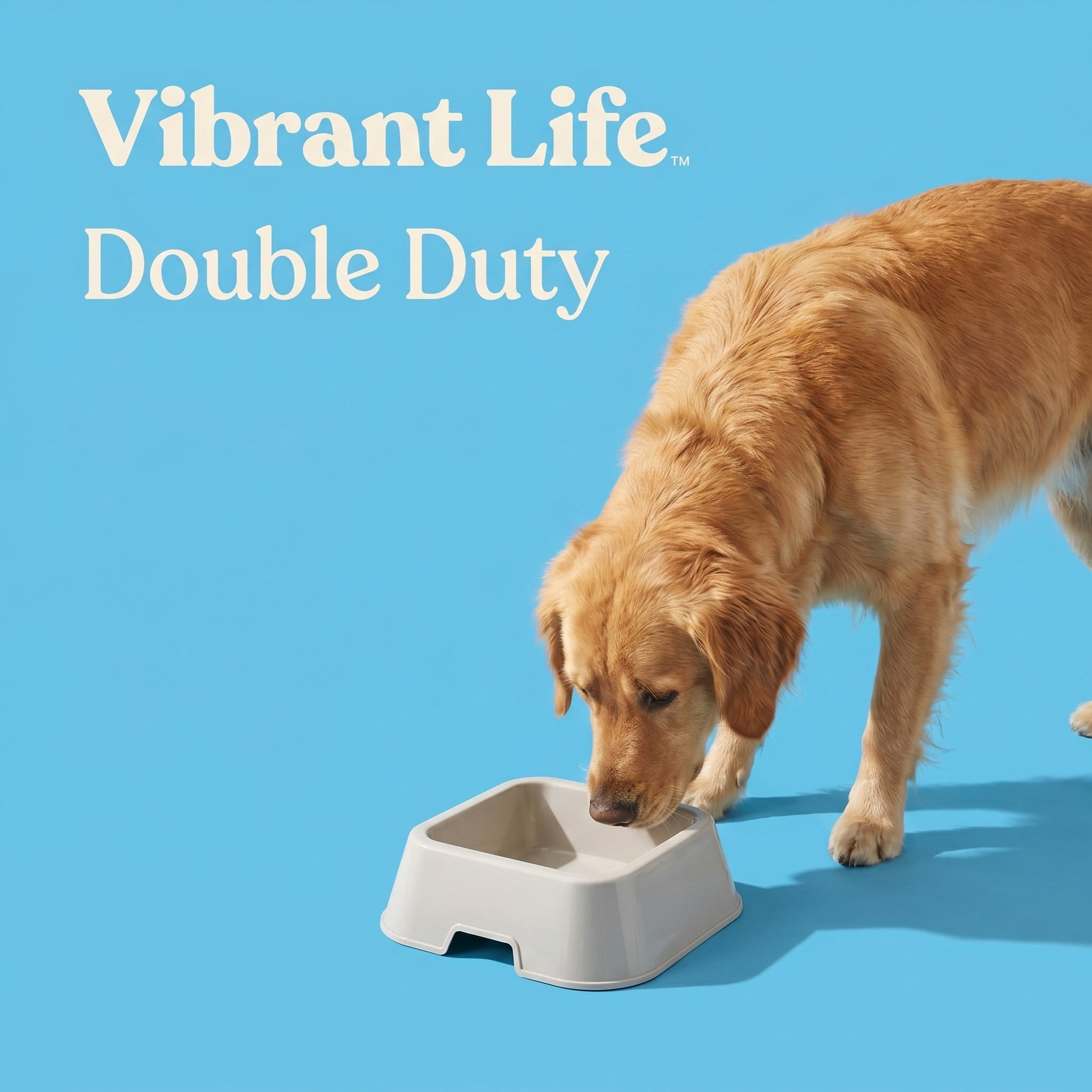 (4 pack) Vibrant Life Medium 8-Cup Square Double Wall Plastic Pet Bowl, Gray