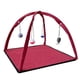 thumbnail image 4 of Tienda plegable para gatitos, alfombra lavable para mascotas, ayuda a los gatos a hacer ejercicio, estera de juego, centro de actividades para gatos, Rojo, 4 of 10