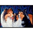 thumbnail image 1 of Carolines Treasures 7508MAT Tapis Intérieur Extérieur 18 x 27 Po. Sheltie, 1 of 4