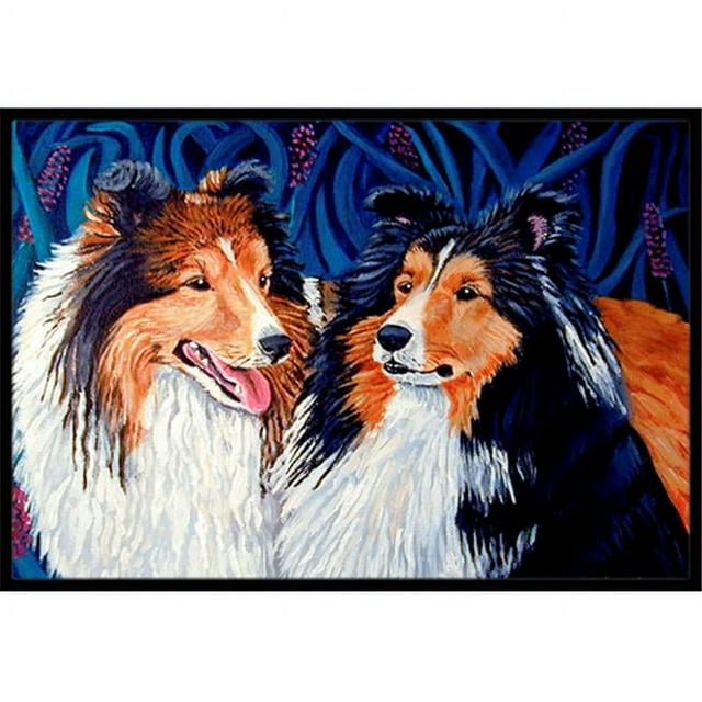 Carolines Treasures 7508MAT Tapis Intérieur Extérieur 18 x 27 Po. Sheltie