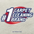 thumbnail image 2 of Resolve Pet High Traffic Carpet Foam, 22 Oz, Cleans Freshens Softens & Removes Stains, Pack of 4, 2 of 6