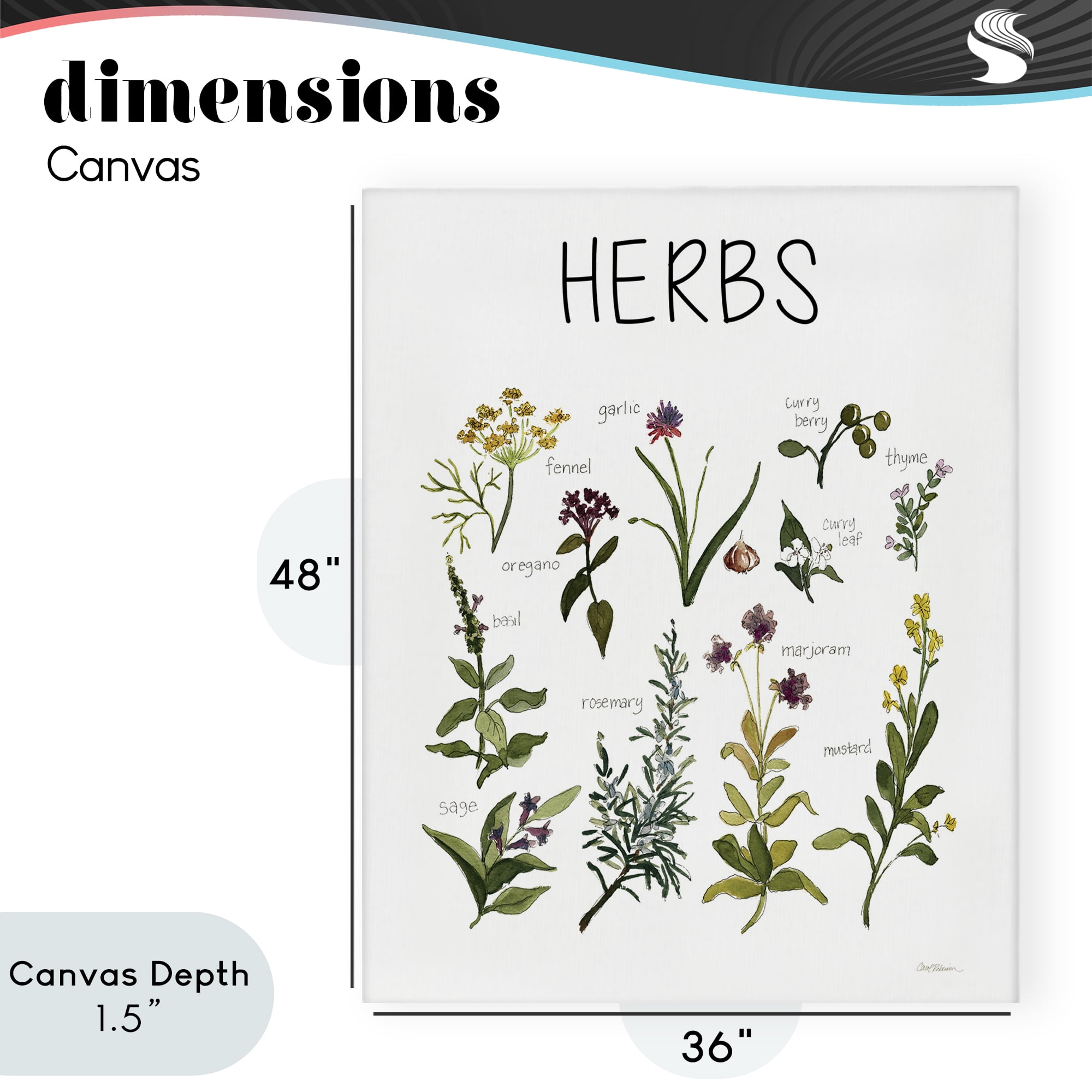 Stupell Industries Herbs Identification Chart Canvas Wall Art, design by Carol Robinson