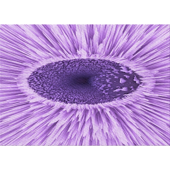 Ahgly Company Machine Washable Indoor Rectangle Transitional Pastel Purple Pink Area Rugs, 6' x 9'