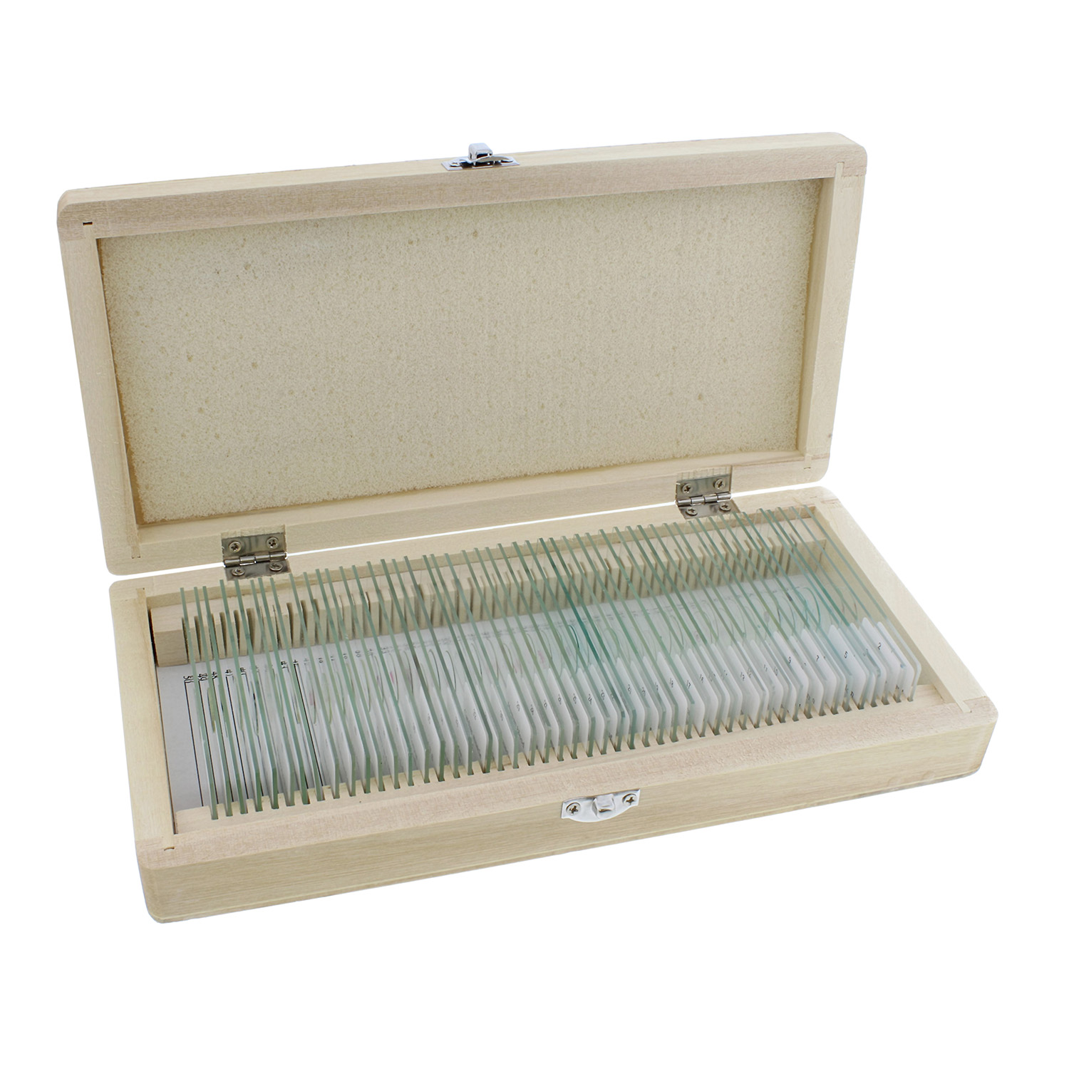 MonMed Prepared Microscope Slides 50 Pc Plant and Animal Microscope