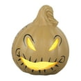 thumbnail image 1 of LIGHT UP PUMPKIN, 1 of 1