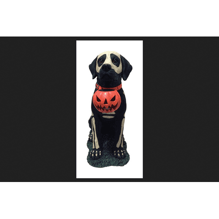 Dhi Painted Skeleton Dog With Pumpkin Halloween Decoration Black
