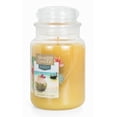 thumbnail image 2 of Yankee Candle Last Paradise Collection - Coconut Island - Large Original Jar Candle, 2 of 4