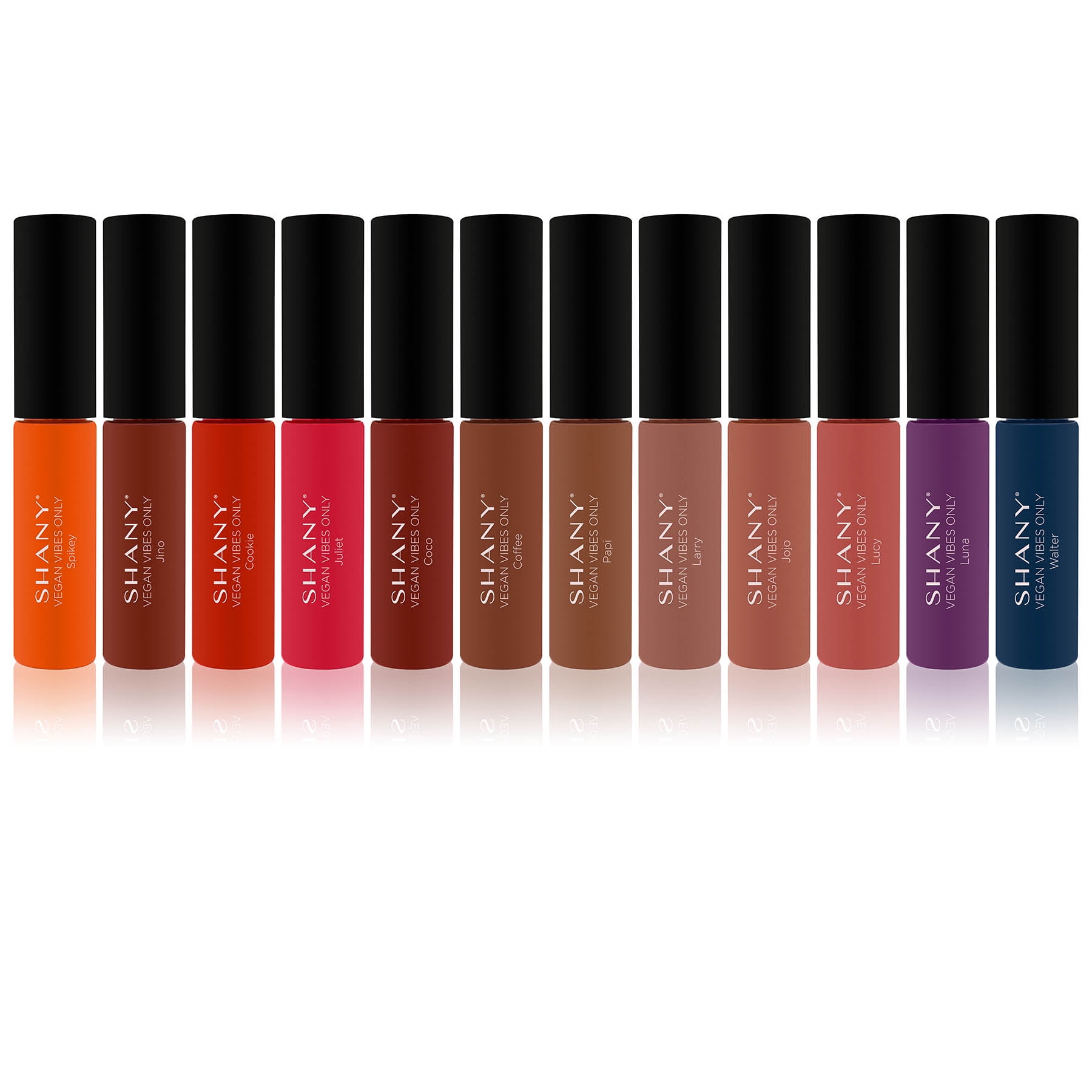 SHANY Vegan Vibes Liquid Lipstick Matte Lip Color Long-Lasting Matte Finish Lip Stain Lip Makeup - COFFEE