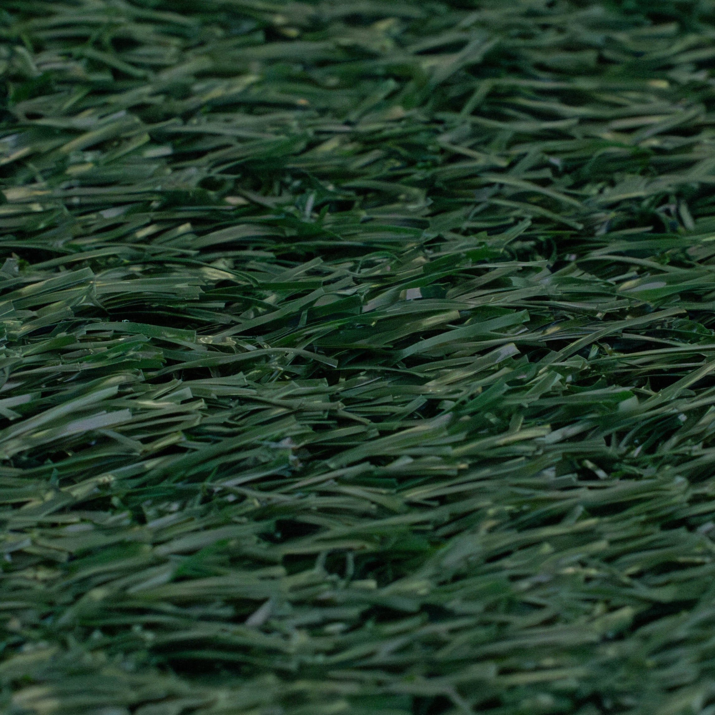 One Paw, Tapis de propreté réutilisable pour chiens avec design antimicrobien et résistant aux odeurs, pour Chien