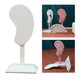 thumbnail image 5 of Expositor de pendientes multiusos para joyas, con forma de oreja, de cuero sintético. Los 7.5x7.5x17cm, 5 of 9