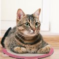 thumbnail image 2 of Miangastore Sisal Rope Cat Scratcher Pad Pink 1Pc 17.7X15.7X0.4In, 2 of 9