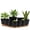 Black&Brown, variant on FIASON 6 Pack Self-Watering Plant Pots, White with Brown 5/5.5/6/6.5/7/8 Inch Planters with Watering Lip, Drainage Holes & Saucer for Indoor Outdoor Garden Plants