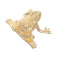 thumbnail image 1 of FESTFENDS Bouton de Porte Rétro en Laiton en Forme d'Animal avec Matériau Durable et Style Feng Shui Porte-Bonheur, 1 of 8