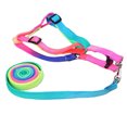 thumbnail image 4 of keepw 1/2/3/5 Pet Walking Leash Harness Set Outdoor Pet Walking Colorful Nylon Adjustable Harness Pull Strap Kit 1PCS, 4 of 6