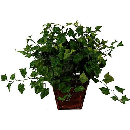 English Ivy In Square Bamboo Planter