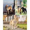 thumbnail image 2 of OutdoorMaster Bungee Dog Leash, Heavy Duty Dog Leash with Shock Absorption, 2 Padded Handles Training Leash, Improved Dog Safety and Comfort - Khaki Upgraded, 4 FT, 2 of 6