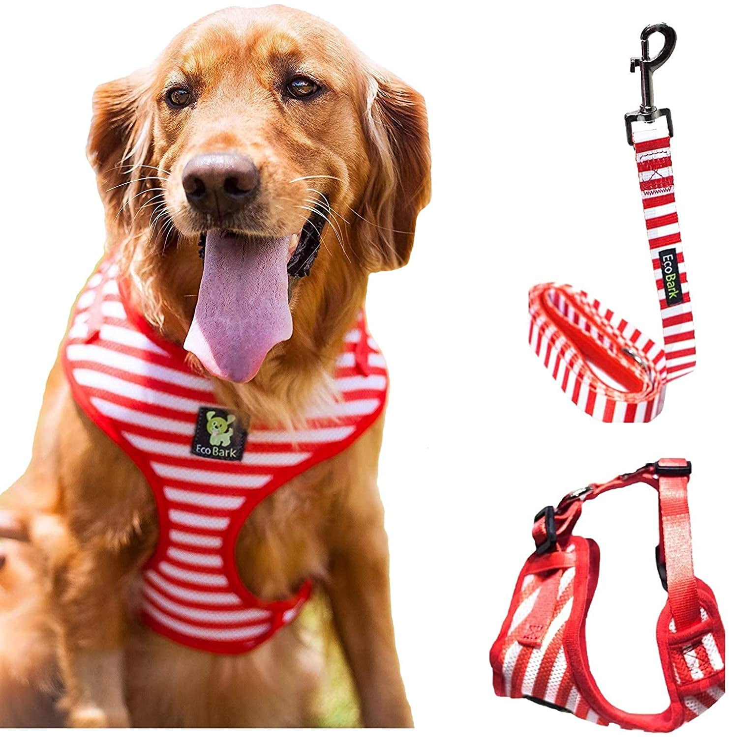 Collar and sales harness combo