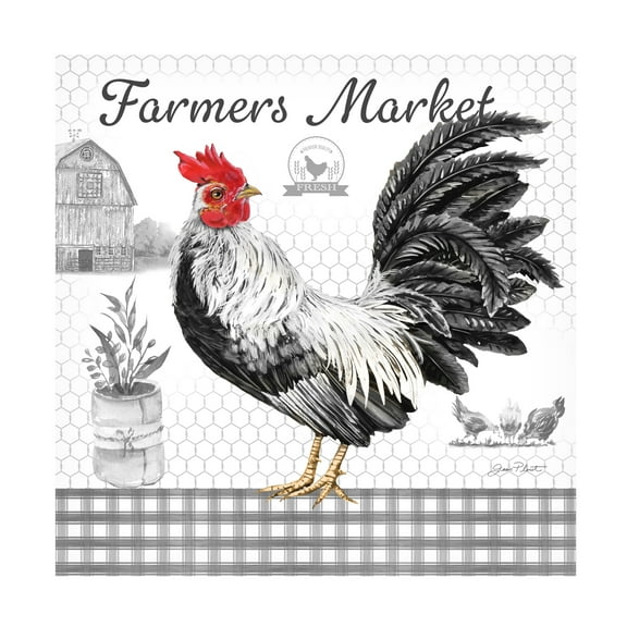 Canvas Wall Art - Jean Plout 'Plaid Country Rooster B' Wall Art for Living Room, Bedroom, or Office DÃ©cor by Trademark Fine Art - 24 x 24 Inches