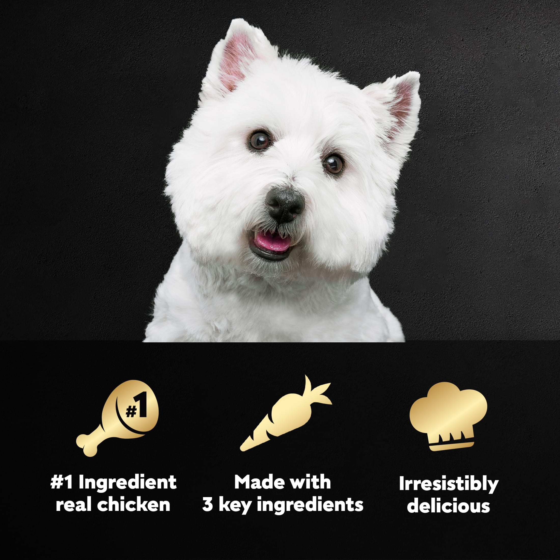 (3 pack) Cesar Simply Crafted Chicken, Carrots & Green Beans Wet Dog Food Topper Adult, 1.3 Oz
