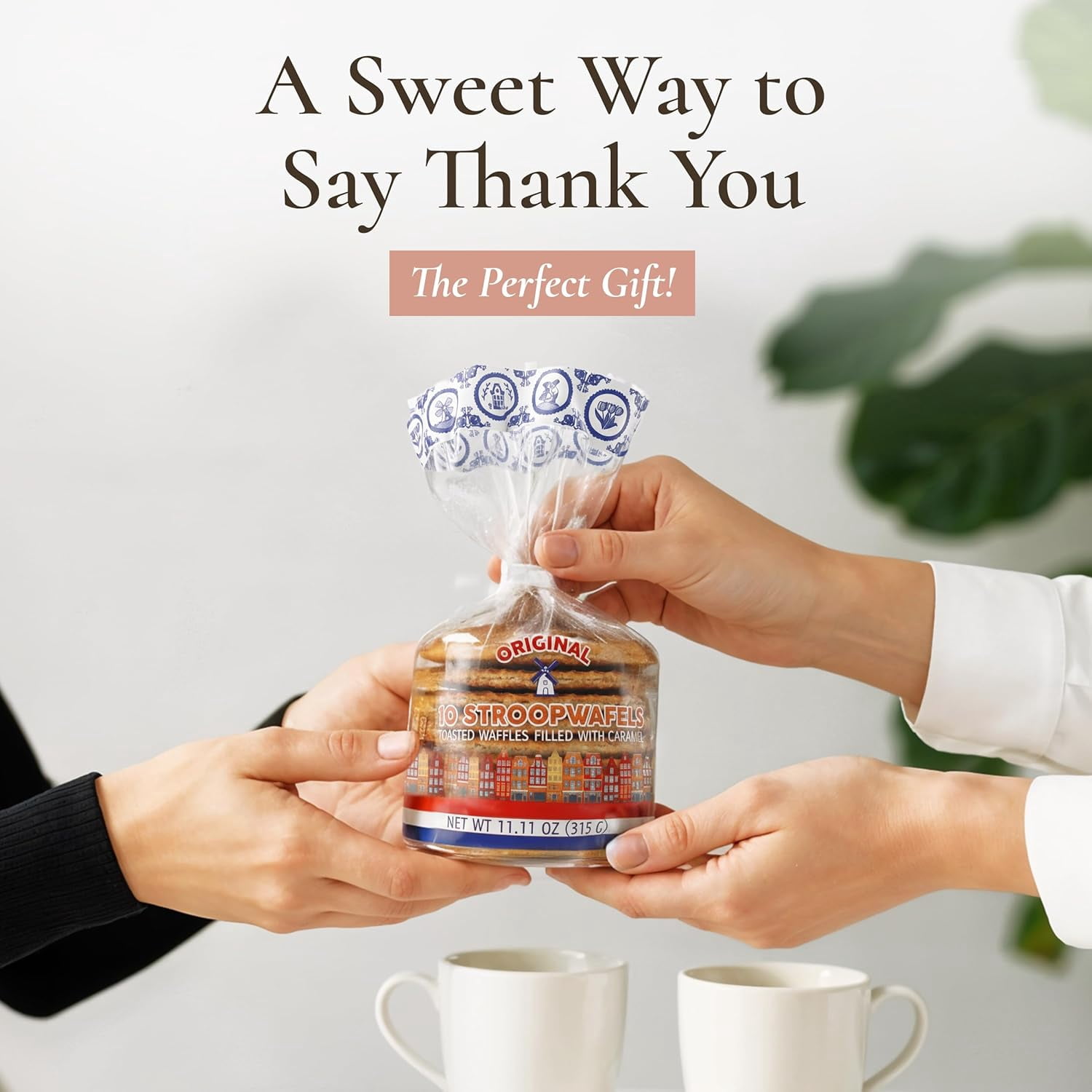 Le Chic Patissier 50 Caramel & Vanilla Stroopwafels Soft Toasted Pack of 5 (11.11oz each) Original Dutch Caramel Waffle Recipe non-GMO perfect snack biscuit