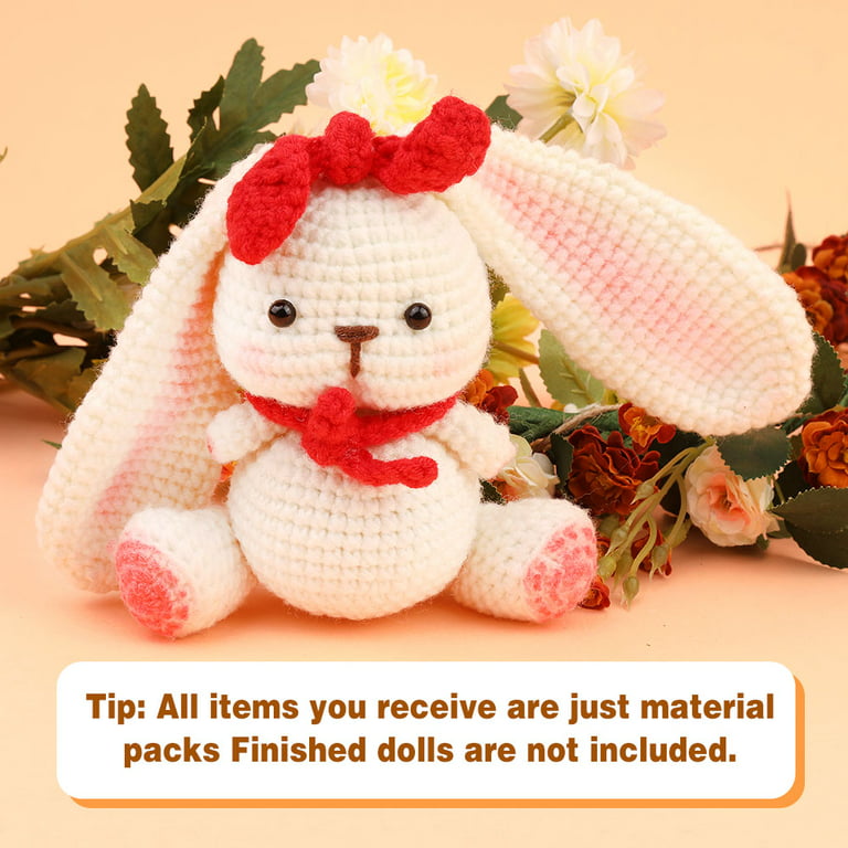 Jupean Beginners Crochet Kit, Cute Small Animals Kit for Beginers and  Experts,Crochet Starter Kit for Beginner DIY Craft Art (Rabbit). 