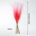 thumbnail image 2 of 10PCS Artificial Pampas Grass Decor – 21.65" Fluffy Bohemian Reed Stems for Wedding, Home, Vase Arrangement (Hypoallergenic, No Shedding), 2 of 5