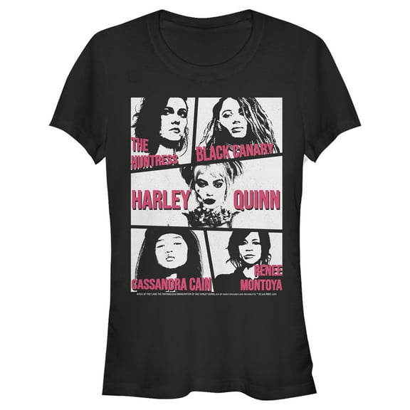 Junior's Birds of Prey Meet the Team Graphic Tee Black Large