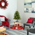 thumbnail image 5 of Nearly Natural 3ft. Snowed Grand Teton Fir Artificial Christmas Tree with 50 Clear Lights and 111 Bendable Branches, 5 of 7