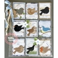 thumbnail image 2 of Marianne Design: Collectables Die & Stamp Set - Eline's Birds, 2 of 2