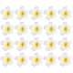 thumbnail image 4 of BRIGHTFUFU 20 horquillas para el pelo con flores de Plumeria, pinzas para el pelo con flores delicadas, pasador para mujeres y niñas, 4 of 8