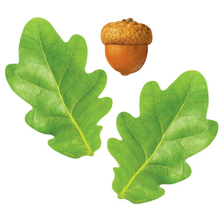 Trend Enterprises Oak Leaves & Acorns Classic Accents Classroom Decoration (108 Piece), Plenty of room on front for student names, jobs, data, or news. Space on back for.., By Trend Enterprises (Best Student Room Decoration)