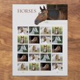 thumbnail image 1 of Sellos postales Caballos del Servicio Postal de los Estados Unidos 2024, 1 of 3