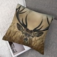 thumbnail image 7 of Acheng  Throw Pillow Cover Stag Deer Antler Moose Elk Horn African Safari Wild Exotic Nature Decor Lumbar Pillow Case Cushion for Sofa Couch Bed  ,Set of 2 White 24x24in, 7 of 7