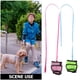 thumbnail image 3 of unbranded 2Ud Arnés Transpirable Para Pequeñas Mascotas Con Correa Resistente Y, 3 of 6
