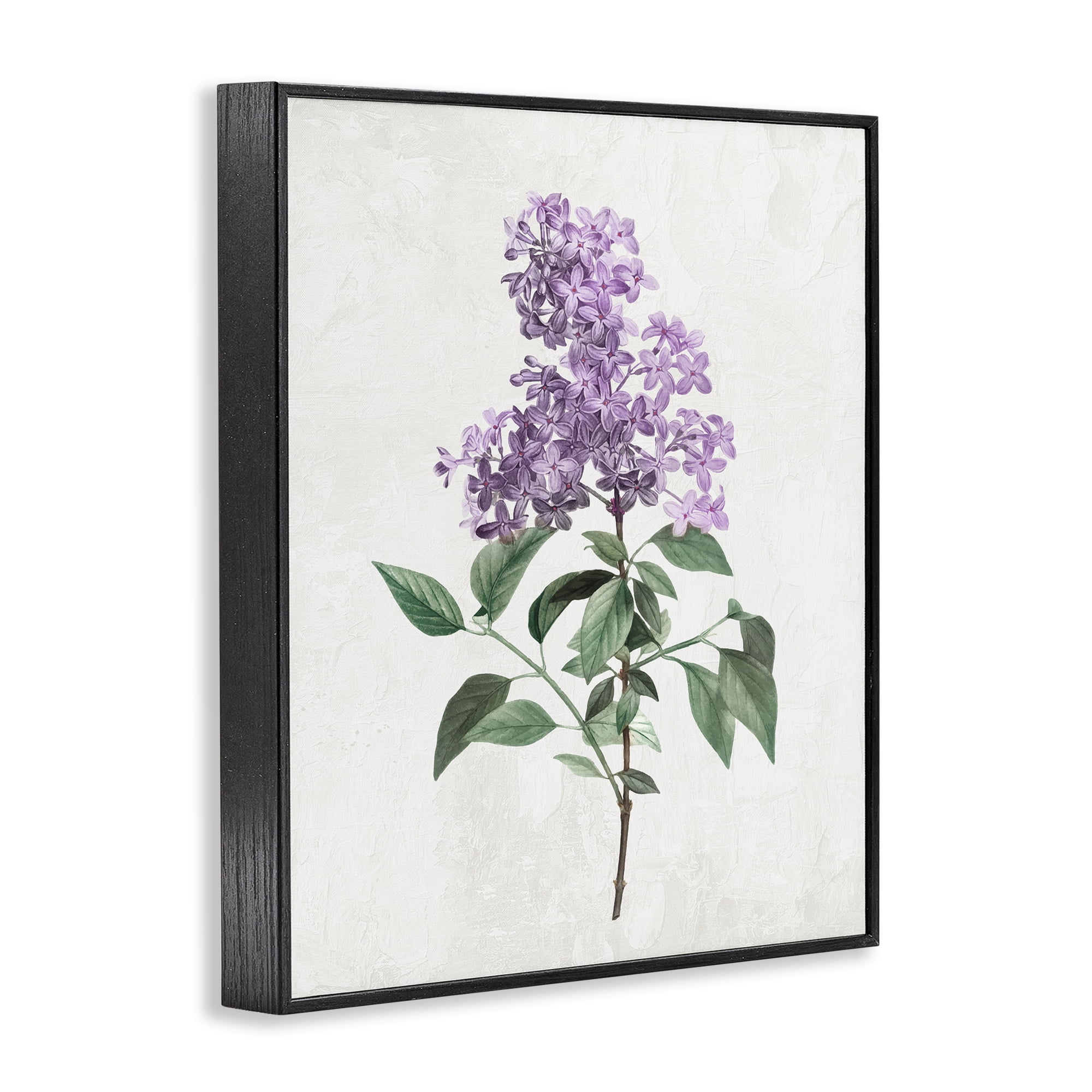 Stupell Industries Lilac Herb Blossoms Black Framed Giclee Art, design by Kim Allen