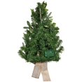 thumbnail image 6 of Kurt Adler Pre-Lit Battery Operated Decorative Berries and Pomegranate Christmas Wall Tree, 22in, 6 of 7