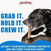 Bullibone SuperBrush: Dental Dog Chew Bone Teeth Cleaning Easy Hold Dog Toothbrush - Long Lasting Nylon Chew Toy - 2 Pack