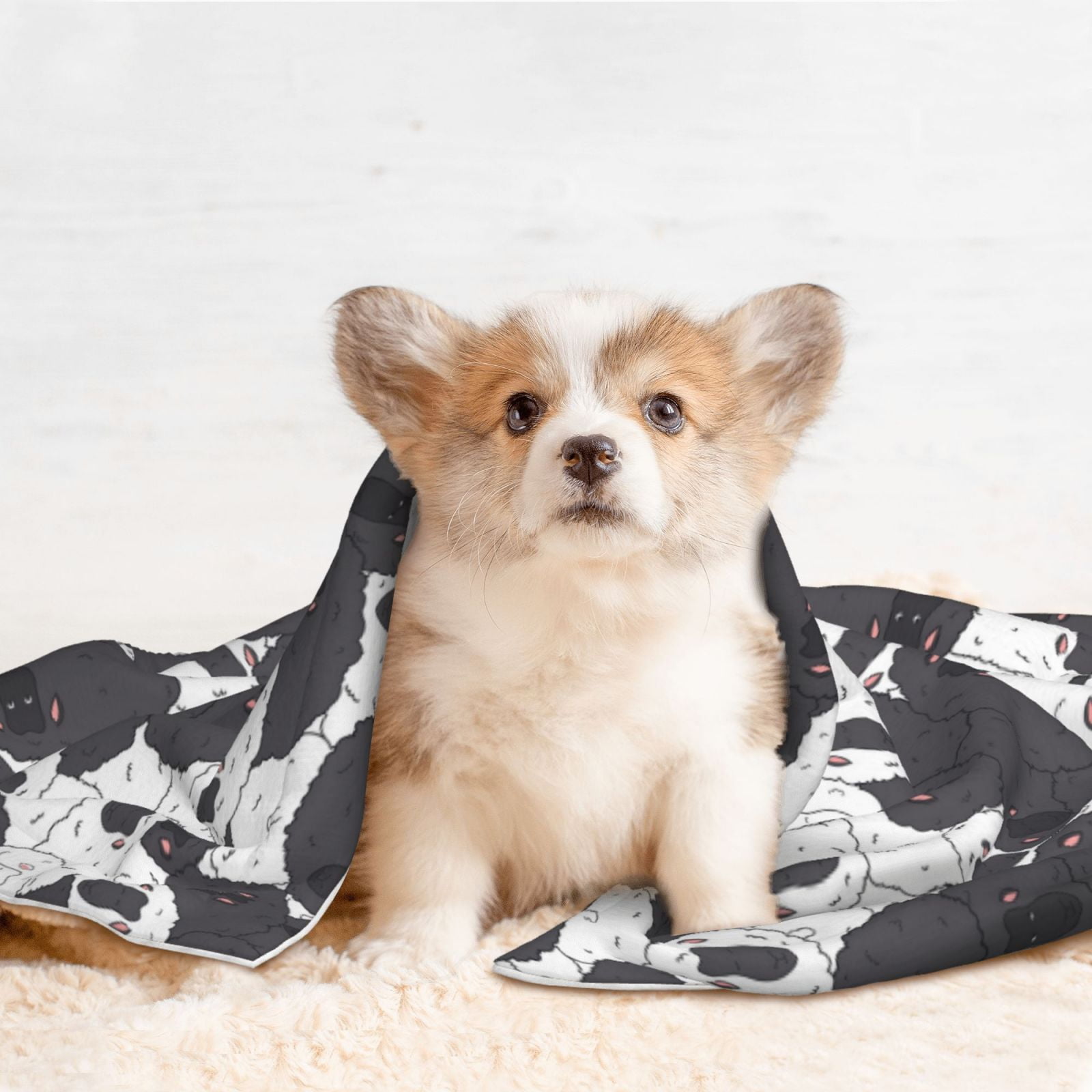 Naloa Black And White Sheeps Dog Blanket, 3 Sizes Cat Blanket for Indoor Cats Large Medium Small Dog Gifts-Large