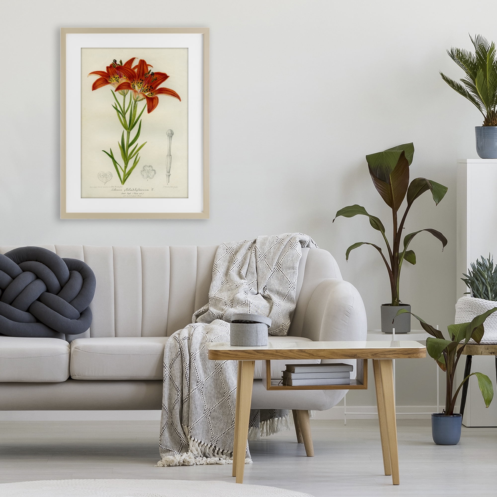 Stupell Industries Western Red Lily Birch Framed Print Under Glass, design by Print Collection