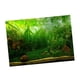 thumbnail image 5 of Fondo de acuario vívido, póster de peces, pegatina decorativa de pared Waterweeds XL, 5 of 8