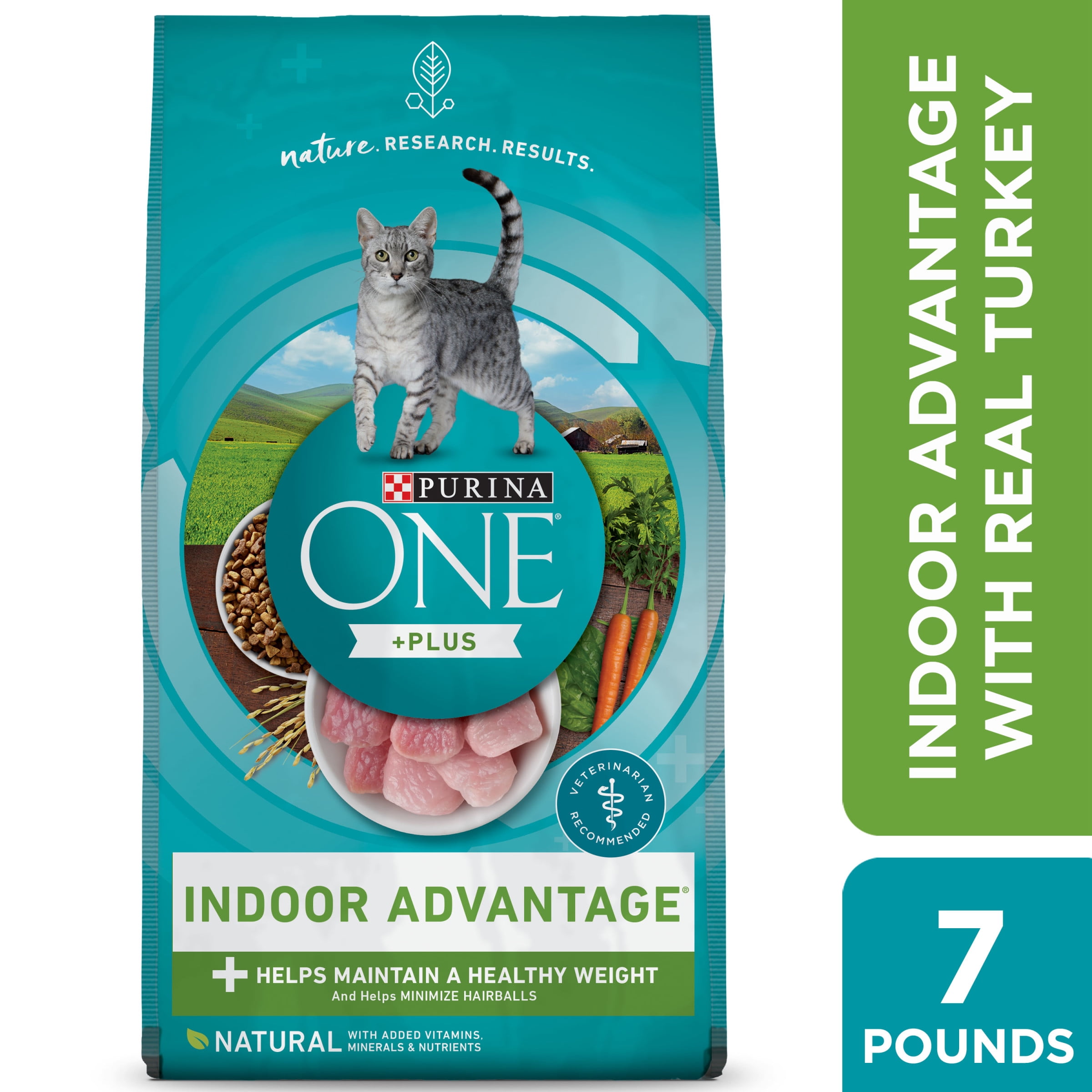dry cat food indoor