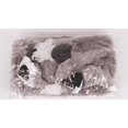 thumbnail image 5 of Mapache pequeño: el nudo con menos nudos, el menos dañino para el cuerpo, adecuado para perros medianos y grandes Sailing Electrónica, 5 of 5